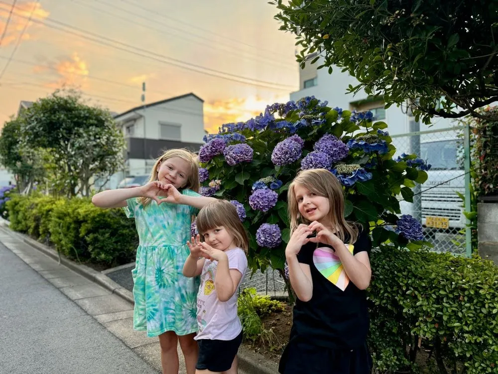 Three girls stand together on a quiet Shibamata street at sunset, surrounded by blooming purple hydrangea bushes.