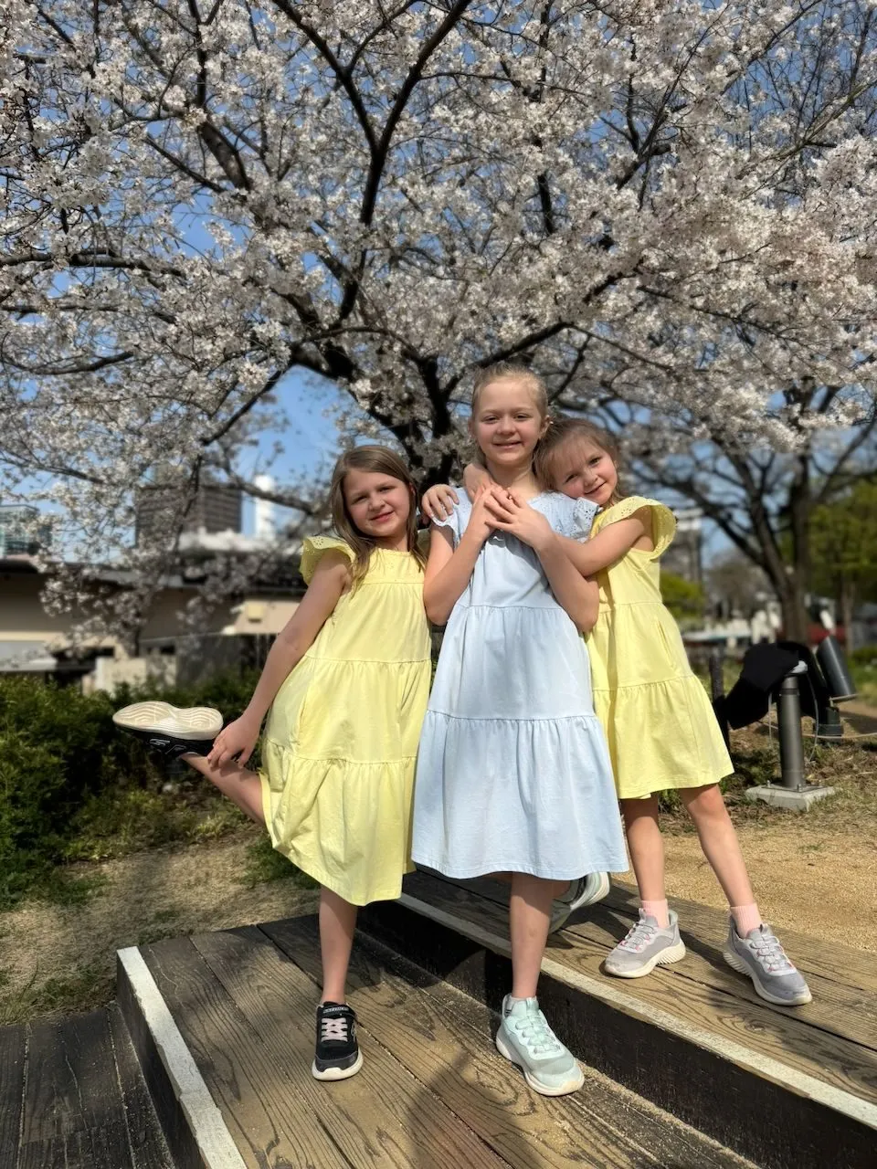 Three girls in yellow and light blue tiered dresses pose together on a wooden platform beneath a fully bloomed cherry blossom tree at Ogimachi Park in Osaka.