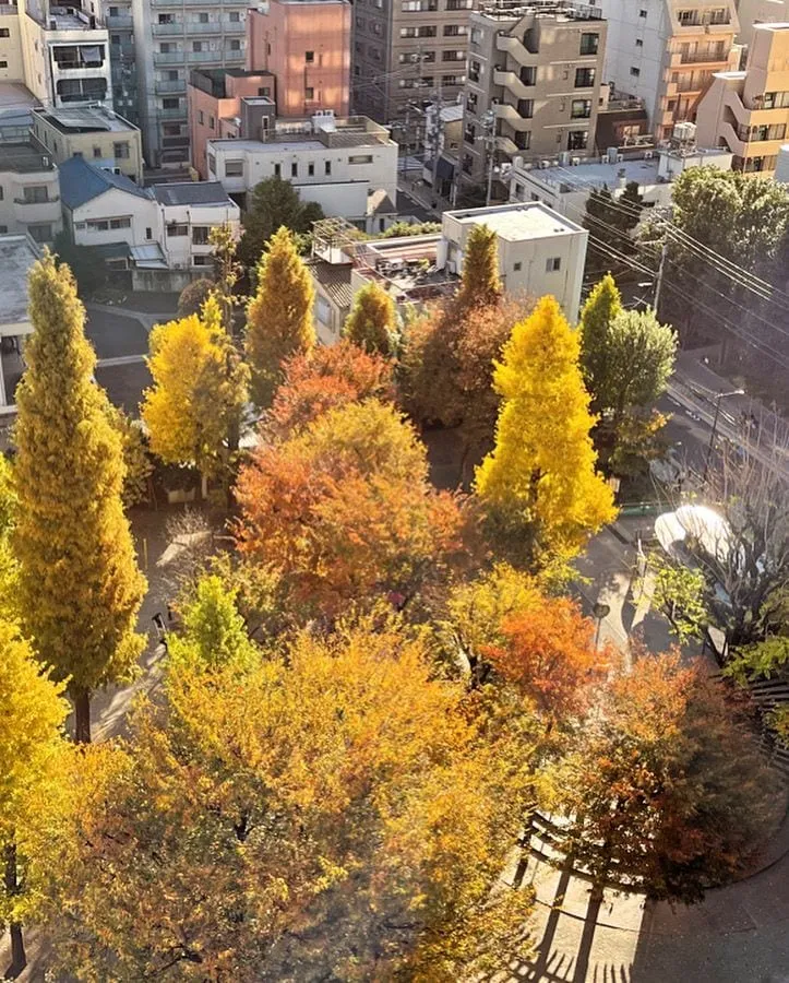 An aerial view from a high apartment window of a neighborhood park in Tokyo with ginkgo and maple trees in full orange and yellow autumn color, surrounded by low city buildings.